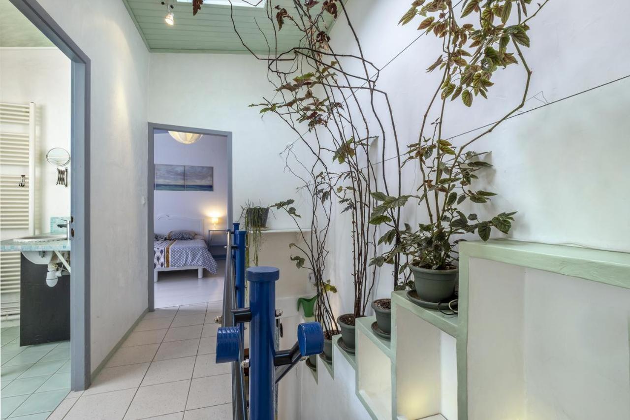 Apartamento Les Volets Bleus T3 De 80 M2 Patio Privatif Rochefort  Exterior foto